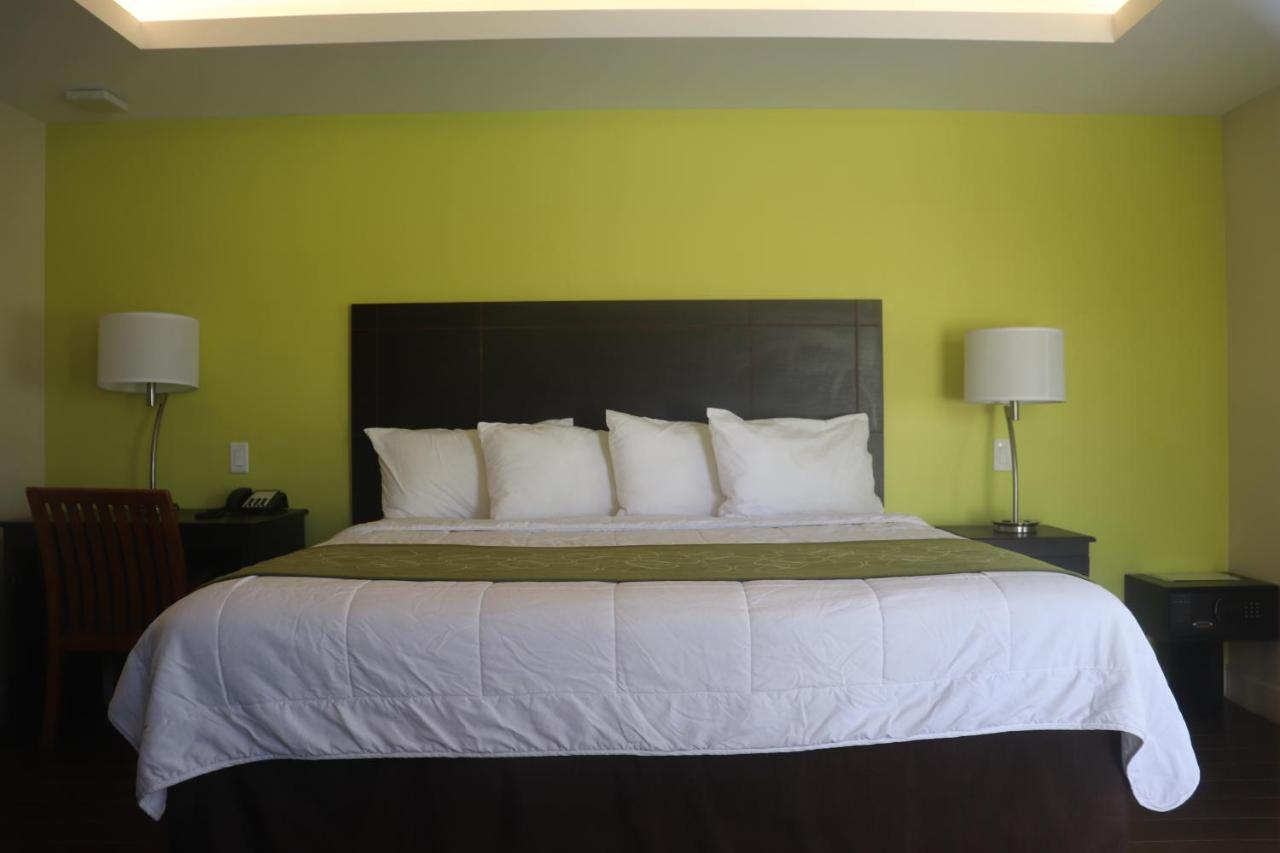 هوليوود Curtis Inn & Suites المظهر الخارجي الصورة