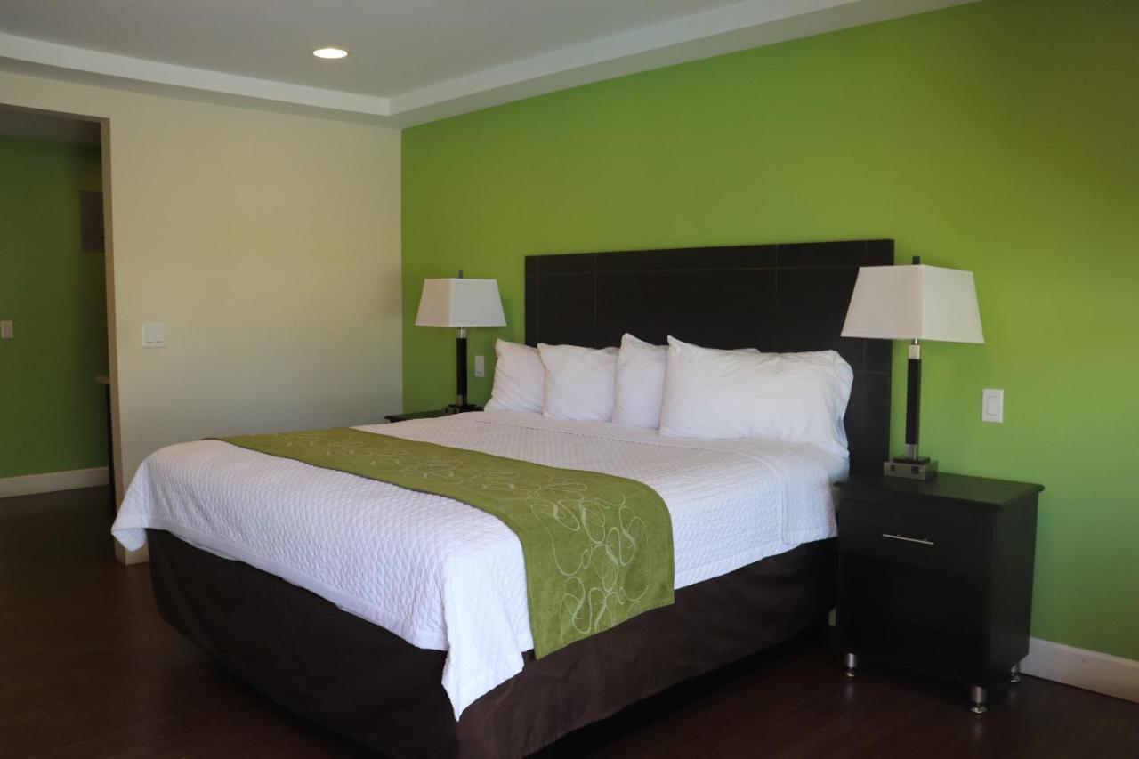 هوليوود Curtis Inn & Suites المظهر الخارجي الصورة